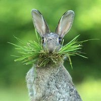 Pink Floyd fan (@apples4short) 's Twitter Profile Photo Pink Floyd fan (@apples4short) 's Twitter Profile Photo