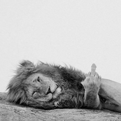 atothe31's profile picture. 