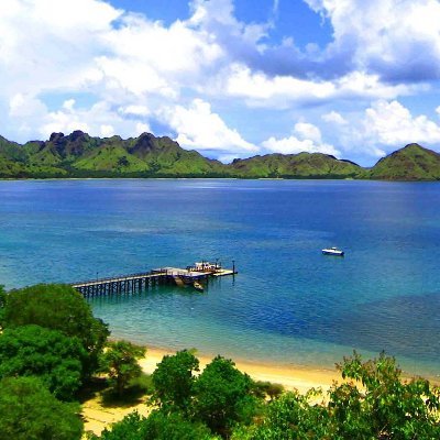 Farheen88620991's profile picture. 