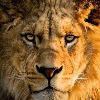 Ferozalam88's profile picture. Teacher✏ 📚       

👉 💯% FB 👈   

Andh Bhakt  Door Rahe 🚫