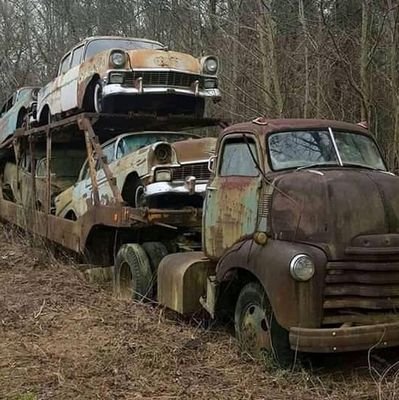 Kelvin_zw79's profile picture. Don't take anything for granted