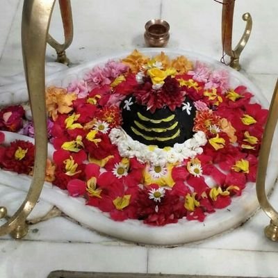 Charu95418619's profile picture. 