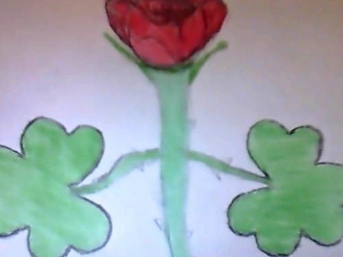 TheRoseClovers's profile picture. We are a band located in New York, follow us and be part of this  family http://t.co/UgqG6u43L7