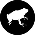 toadfix's profile picture. Toadfix consists of highly experienced web designers, web developers and online marketing specialists. Our studio is located at Manila Philippines.