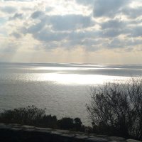 Yutan_Sub (@yutan_sub) 's Twitter Profile