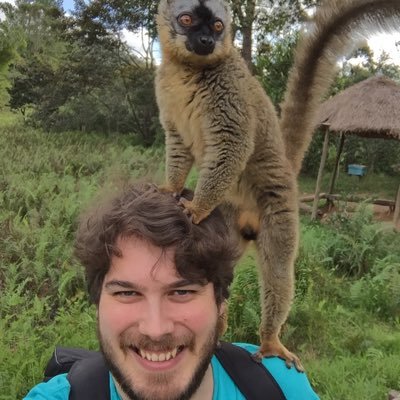 carsayer's profile picture. Mainly random thoughts on the rugby/cricket/footballl. Occasionally I enter into politics/finance as have worked in both