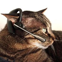 Tony Thijs (@tonythijs) 's Twitter Profile