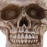 AndersWelsh's profile picture. 