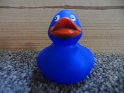 I am a wubba duck!
I like to shwim!
I shwim in shoop!
I am a blue Wubba Duck!
I like water!
I like to help muvver duckee 'round the nest! 
I am a duck!