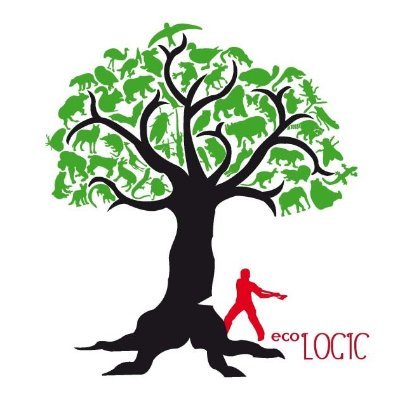 MeStumped's profile picture. This page is for my RS 202 - Religion and Social Justice course at Hilbert College.
We are focusing on how we can shape the world towards a better future.