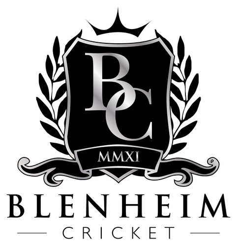 Blenheim Cricket is a quality driven cricket equipment company. Supplying cricket bats, pads, gloves, helmets &bags along with many other items.