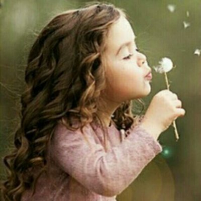 shadipishva's profile picture. 