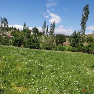 Atakan Profile