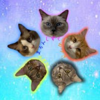 のん(💧🌰🌙❄️🎵) (@maroshizu329) 's Twitter Profile Photo