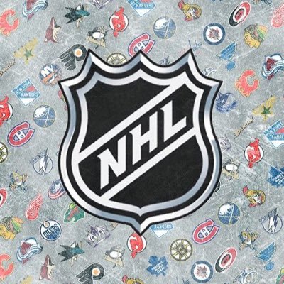 TheHockeyNut2 Profile Picture