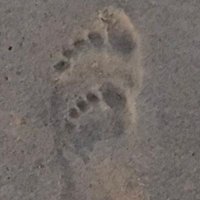 Travis Pearre (@mrtbpearre) 's Twitter Profile