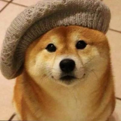 TheFirulays21's profile picture. Un weon más.