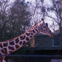 gabe horne - @truthpatriot420 - Twitter