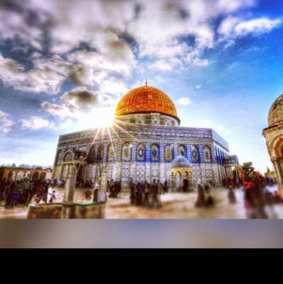 z7OSlblbTX7T5OC's profile picture. نسأل الله رحمته