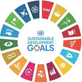 Volunteers activating SDGs in Kwara state I #SDGs | Partnership for the Goals | Education I Advocacy I The official handle of @WorldsLessonNG in Kwara #SDG17