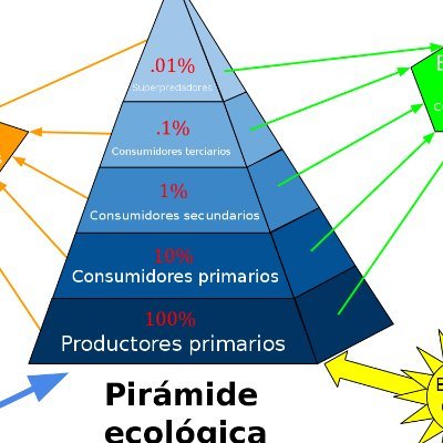 Romanticismo socialista y ambientalista