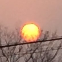 kantoku49's profile picture. 