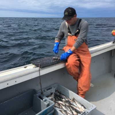 Mike Stokesbury Profile