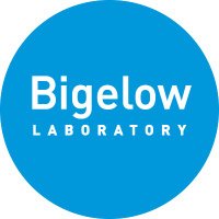 Bigelow Laboratory(@BigelowLab) 's Twitter Profile Photo