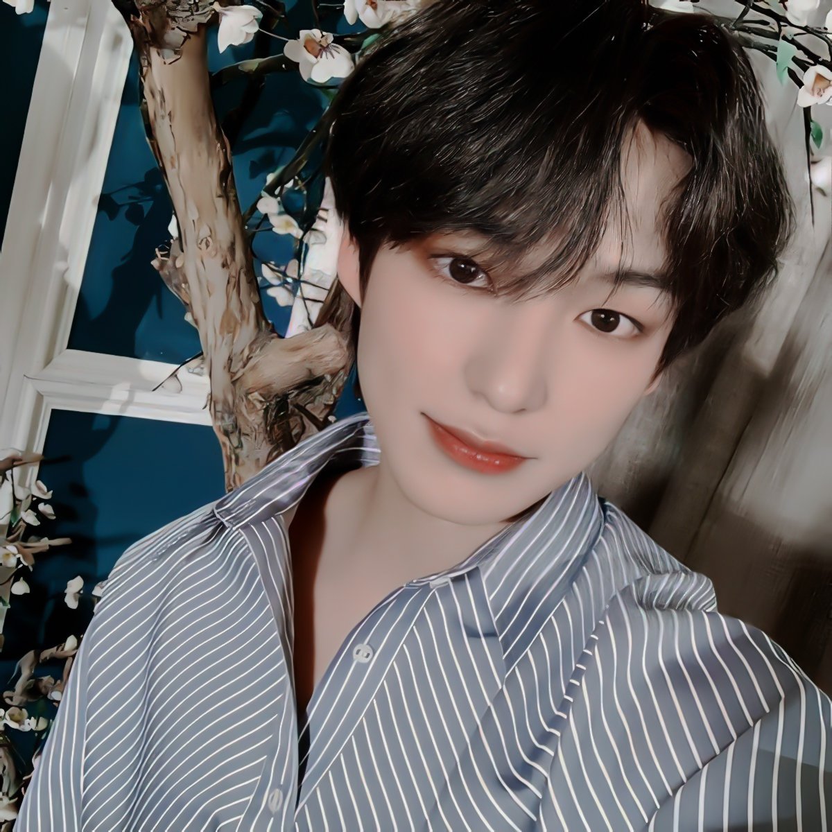 fzrewxll's profile picture. ㅤㅤㅤㅤㅤ  ◞ 𓅓 : mαчbe чɔu’re 𝘁𝗵𝗲 vıllαge ♪
ㅤㅤㅤㅤᅟㅤㅤㅤㅤㅤᅟㅤㅤᅟㅤㅤ ، bɔrn ın  95°─┈ · ، 𝑓𝑟. kɔreαn!