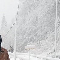 Snow 🧊 (@diamondazzf) 's Twitter Profile