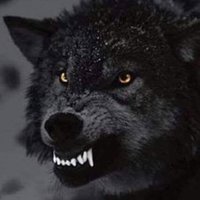 Alberto (@alberto66305131) 's Twitter Profile Photo Alberto (@alberto66305131) 's Twitter Profile Photo