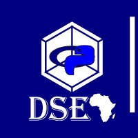 DSEAfrica : Your career in data starts here.(@DSEAfrica) 's Twitter Profile Photo