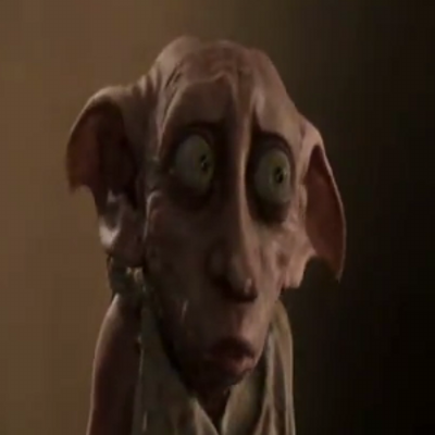 Dobby The House Elf. (@WhatTheDobby) | Twitter