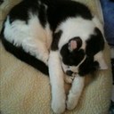 Ros Wilson - @rossywilson - Twitter