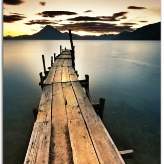 TRI_brian's profile picture. Triathlete, Runner , Swimmer , Cyclist