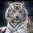 BaneenJafar's profile image