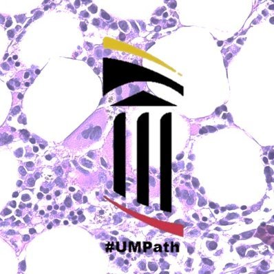 The #unofficial #Pathtwitter account for U of Maryland Pathology Residency. T/RT =/= endorsements or med advice #pathmatch2024