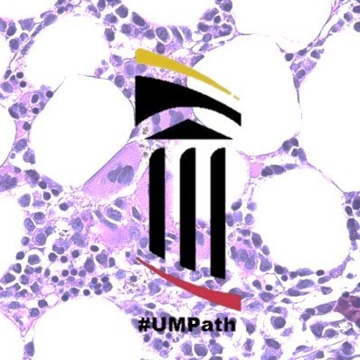 University of Maryland Pathology Residents Profile