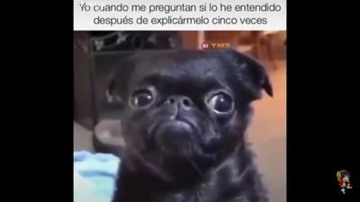 0710K1ng's profile picture. soy judador de gta v online y fortnite