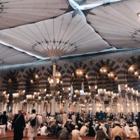 الاهدلي (@u_515) Twitter profile photo