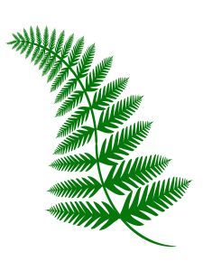 StateoftheVenta's profile picture. 