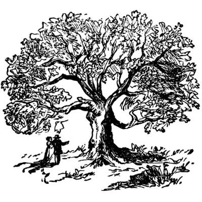 DavidVoorhees16's profile picture. No peace? No justice.