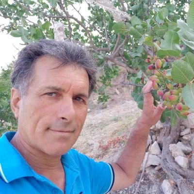 zambitofrank's profile picture. 