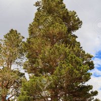 Alis volat propriis(@Alisvolatprop12) 's Twitter Profile Photo Alis volat propriis(@Alisvolatprop12) 's Twitter Profile Photo