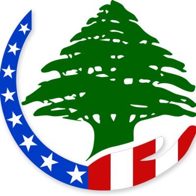 We are nonsectarian & nonpartisan American Lebanese who care about Lebanon & commit to provide financial support to established & underfunded Lebanese charities