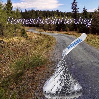 HomeschoolinHershey is a homeschool based in Hershey, PA