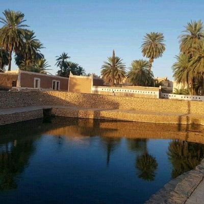 fallah_eng's profile picture. 