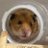 1228_nul2's profile image