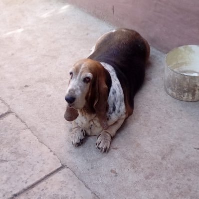 silvanamigliett's profile picture. El mundo que hable, tu mientras tanto; quiérete 🌺