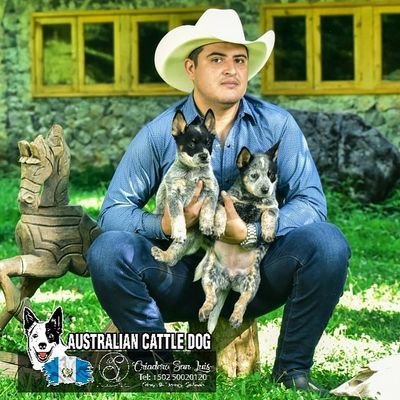 LuisTTAguilar23's profile picture. No solo soy Inteligente, soy Agrónomo. Padre soltero de dos niños. Educado, Fiel, Detallista, Socialble, Amable y Guapo...